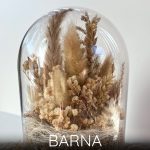 SZÜLETÉSNAPI - örökvirág búra