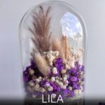 SZÜLŐKÖSZÖNTŐ - örökvirág búra